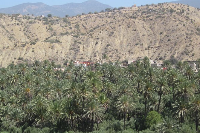 Imouzzer High Atlas Mountains Tour From Agadir - Cultural Immersion in Berber Villages