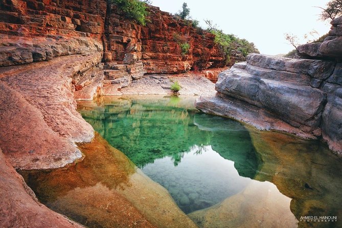 Imouzzer Waterfall Excursion & Paradise Valley - Included Services