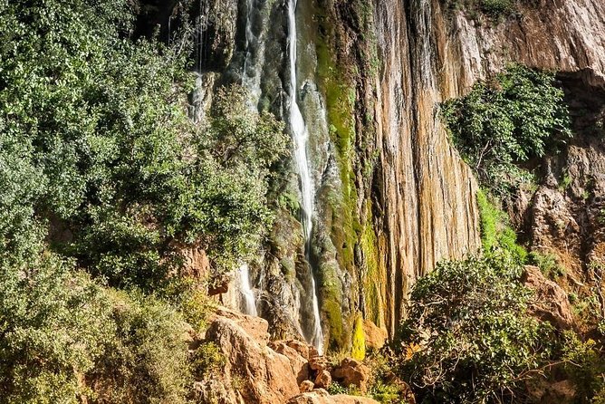 Imouzzer Waterfall Excursion & Paradise Valley - Customer Feedback