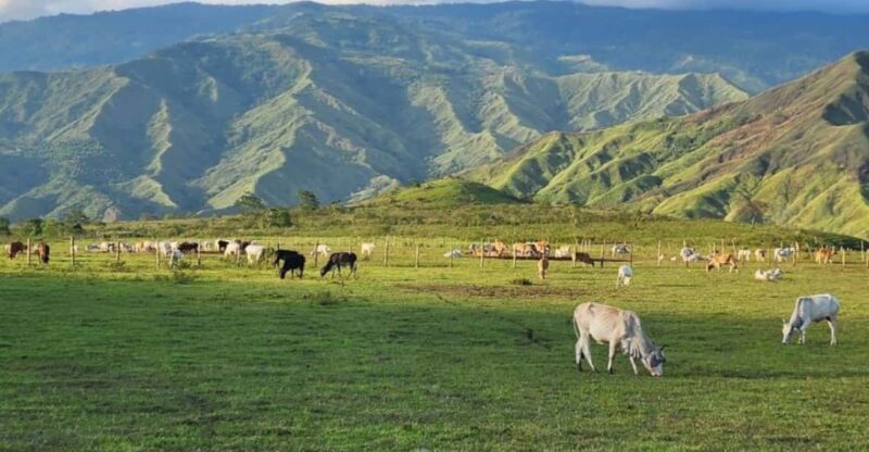 Impasugong - Home of the Cowboys (Private Tour) - Key Points