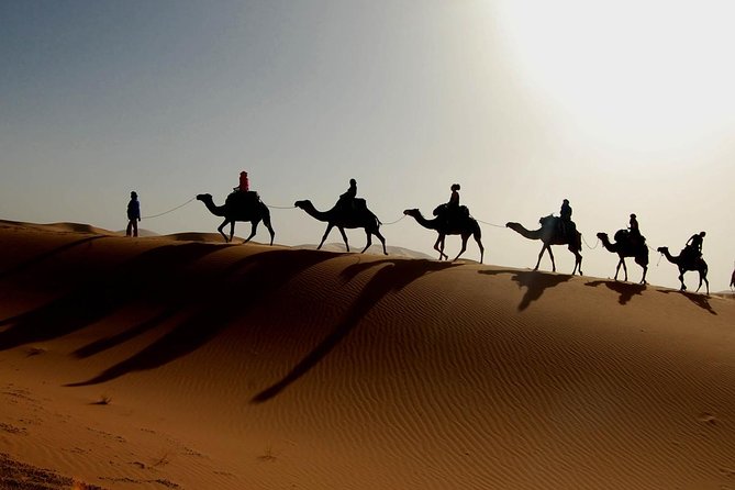 Imperial Cities of Morocco Tour – 7 Days - Scenic Drives and Medinas