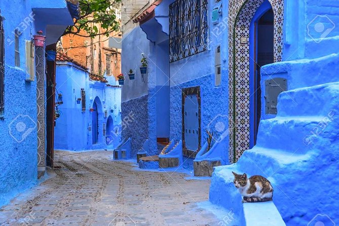 Imperial Cities of Morocco Tour – 7 Days - Traveler Experiences and Feedback