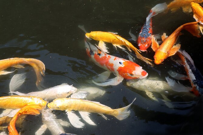 Imperial Palace East Garden and Heritage of Edo Castle Tour - Tour Guide