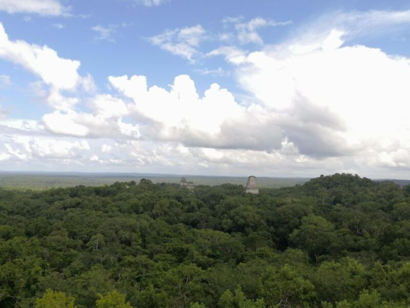 Impressive Tikal From Flores With Lunch - Customer Ratings