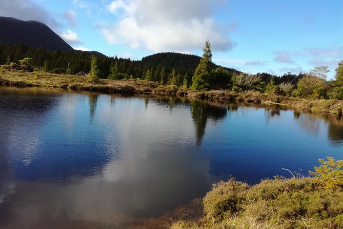 In and Around Terceira Island in a 4X4 - Culinary Delights of Terceira