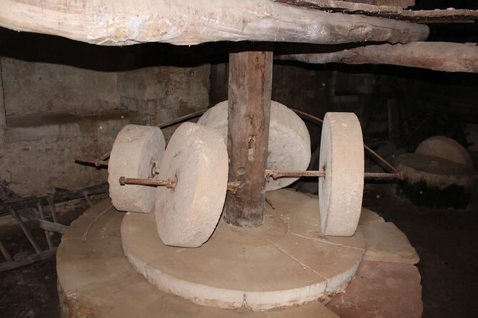 In Crete Discover the Miracle of Olive Oil and Organic Fruits - Phases of Olive Oil Production