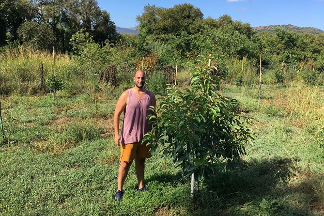 In Crete Discover the Miracle of Olive Oil and Organic Fruits - Guides Own Olive Oil Farm