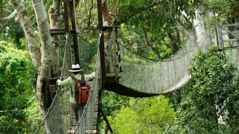 In-Depth Amazon Experience - 4 Days Inside Rainforest - Entrance Fees and Other Costs