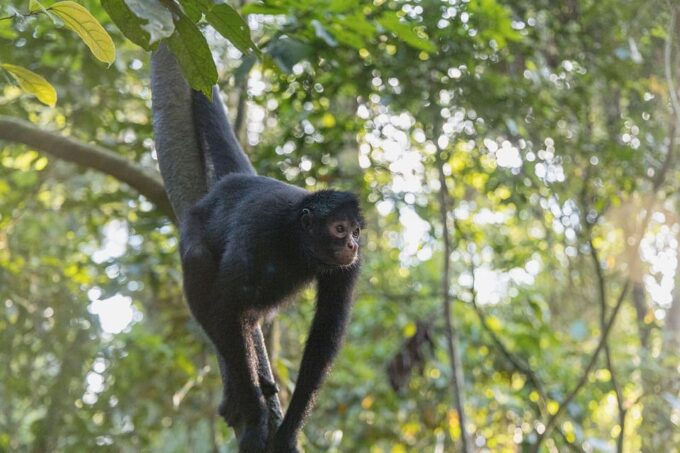 In-Depth Amazon Experience - 4 Days Inside Rainforest - Packing Recommendations