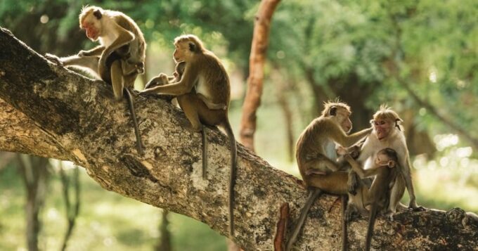 In-Depth Amazon Experience - 4 Days Inside Rainforest - Frequently Asked Questions