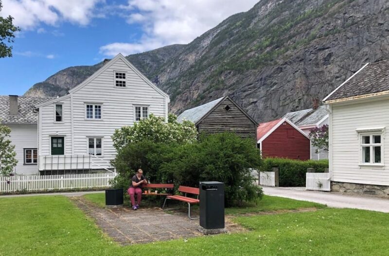 In Lærdal: Guided Old Town Tour - Historical Significance