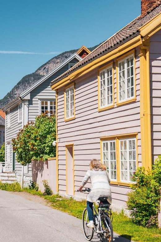 In Lærdal: Guided Old Town Tour - Booking Information