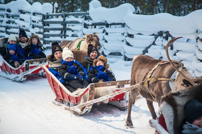 In Pursuit of Reindeer - Snowmobile Safari to Reindeer Farm in Rovaniemi - Encountering the Majestic Reindeer
