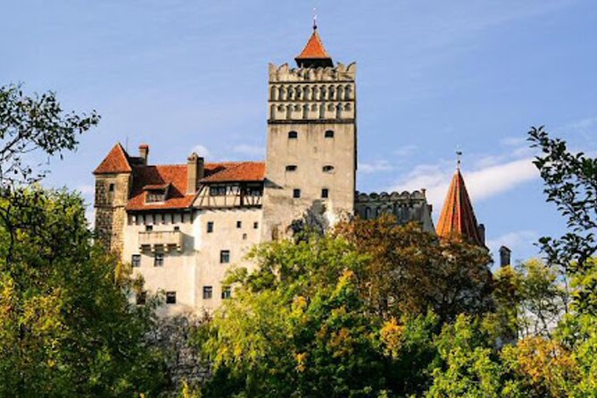 In Search of Dracula and the Teutons in Transylvania Full-Day Private Tour - Highlights of the Tour