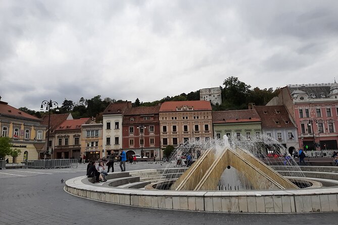 In Search of Dracula and the Teutons in Transylvania Full-Day Private Tour - Assistance and Support