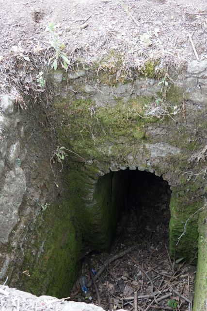 In the Footsteps of an Ancient Macedonian - Unveiling the Macedonian Royal Tombs
