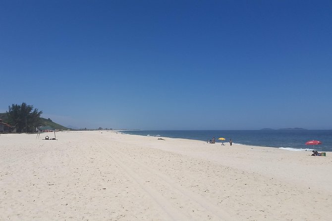 In the Footsteps of Charles Darwin: Maricá - Observing the Local Wildlife
