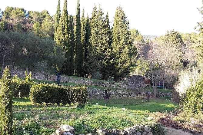 In the Secret of Perfumes and Flowers-Private Tour Full Day- - What to Expect