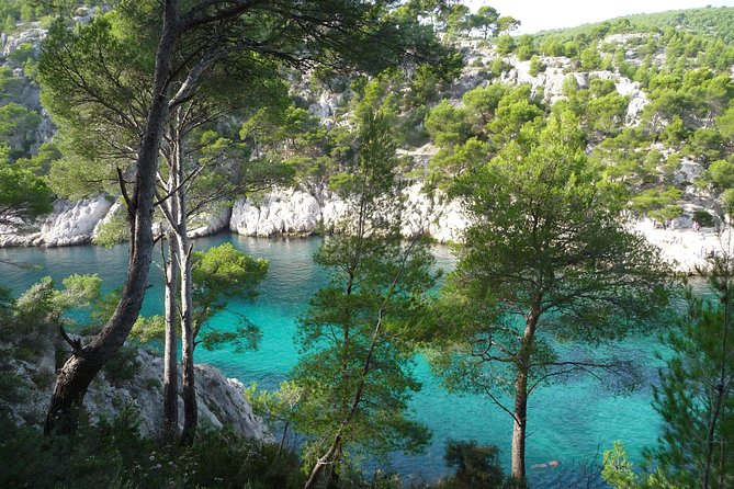 In Vau La Magnifique - What to Expect