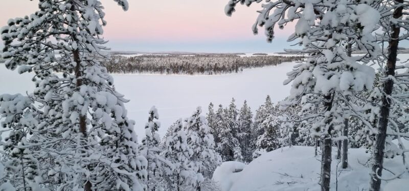 Inari Lake: Private Guided Tour - A True Finnish Experience - Tour Overview and Pricing