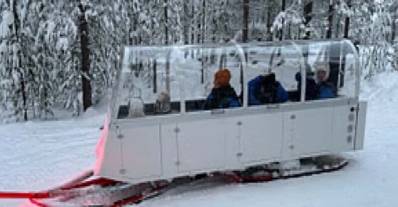 INARI : Northern Lights Safari With Heated Snowmobile Sleigh - Good To Know
