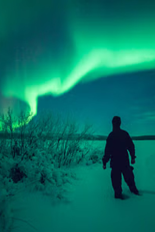 INARI : Northern Lights Safari With Heated Snowmobile Sleigh - Highlights and Experience