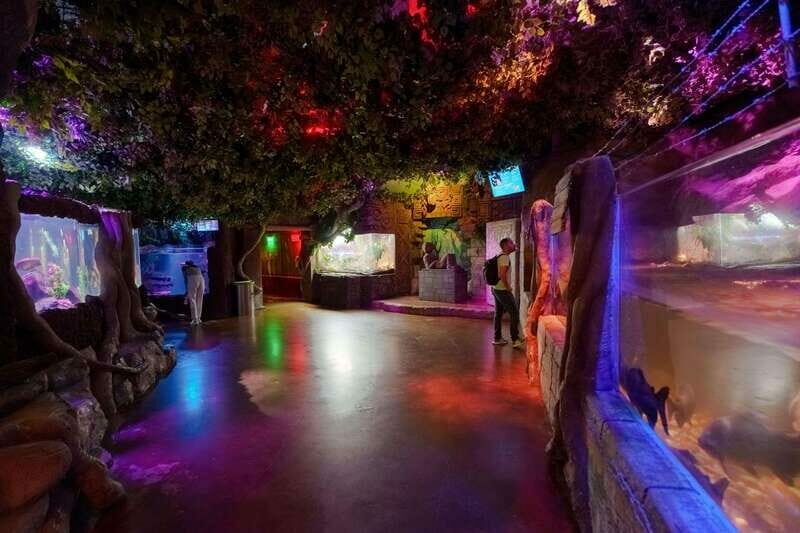 Inbursa Aquarium Entry Ticket with VR Option - An In-Depth Look at the Inbursa Aquarium Experience
