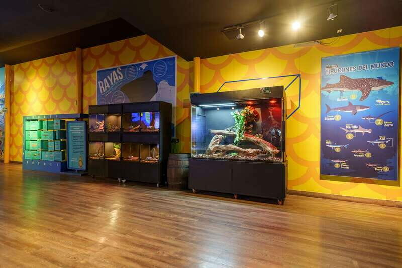 Inbursa Aquarium Entry Ticket with VR Option - Is It Worth the Price?