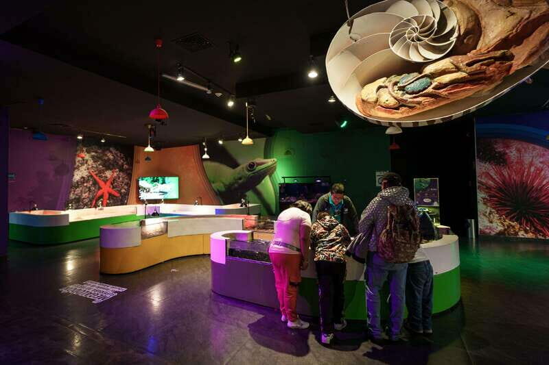 Inbursa Aquarium Entry Ticket with VR Option - Who Should Consider Visiting?