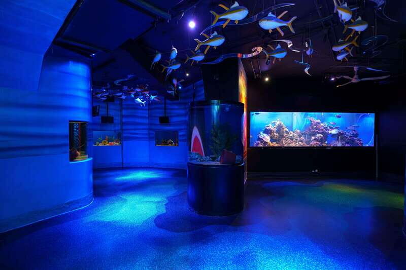 Inbursa Aquarium Entry Ticket with VR Option - The Sum Up