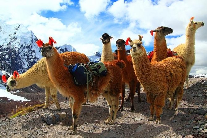 Inca Hot Spring Day Tour - Pickup Information