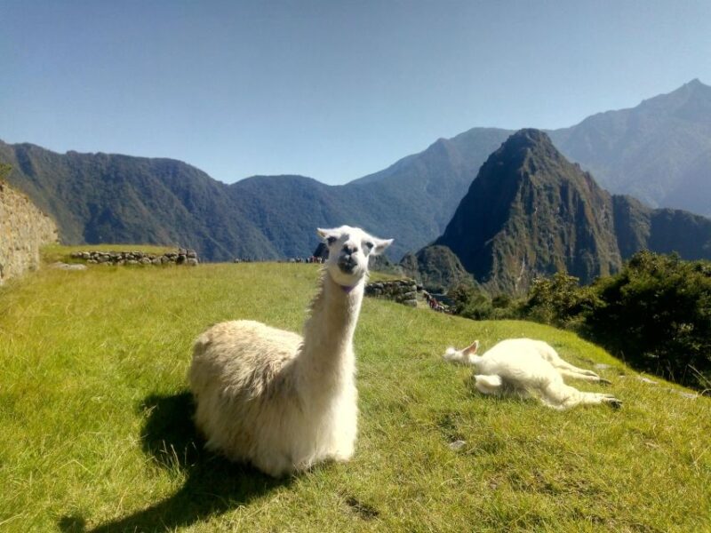 Inca Jungle to Machu Picchu - What to Bring