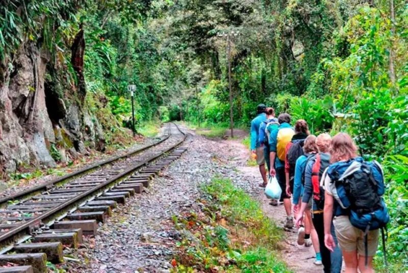 Inca Jungle Tour to Machu Picchu 4d 3n +Ticket Machu Picchu - Customer Feedback