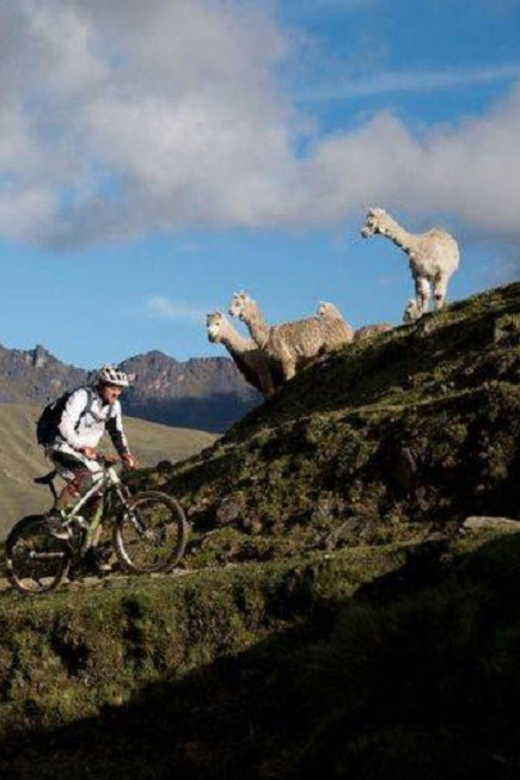 INCA JUNGLE TRAIL 3 DAYS TO MACHU PICCHU - Day 2 Activities