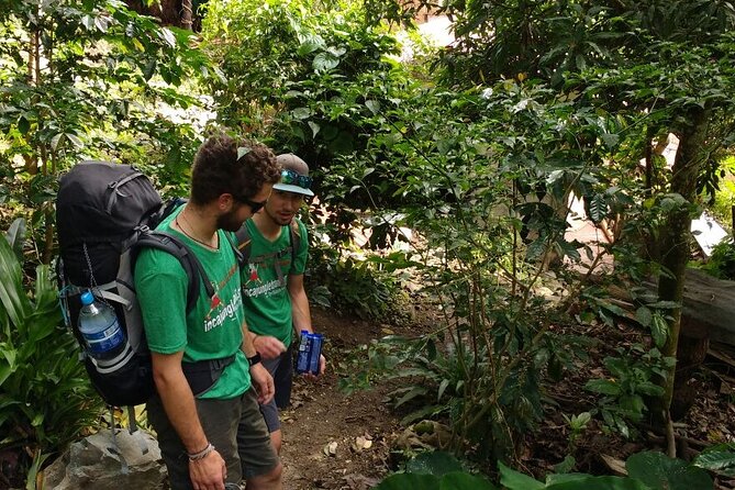 Inca Jungle Trail to Machu Picchu in 4 Days - Traveler Reviews and Feedback