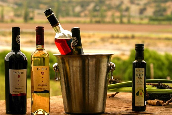 Inca Lagoon in Andes Mountain Range - Visit Local Vineyard With Tasting Included - Winery Tour and Tasting