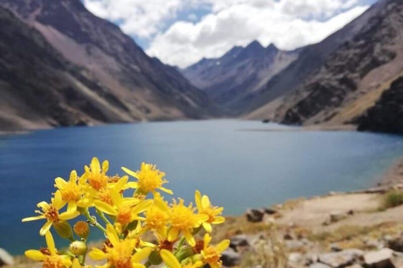 Inca Lagoon With Local Vineyard and With Tasting - Itinerary Highlights
