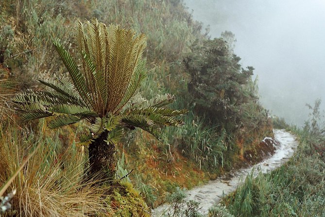 Inca Trail of 04 Days 03 Nights - Visiting Machu Picchu Sanctuary