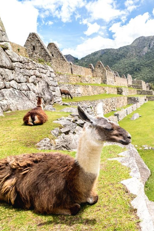 Inca Trail to Machu Picchu 4 Days - Included Amenities