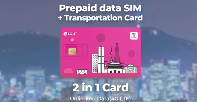 Incheon Airport: Traveler SIM & T-money Transportation Card - Incheon Airport Services Overview