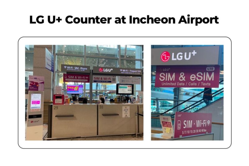Incheon Airport: Traveler SIM & T-money Transportation Card - T-money Transportation Card for Subways