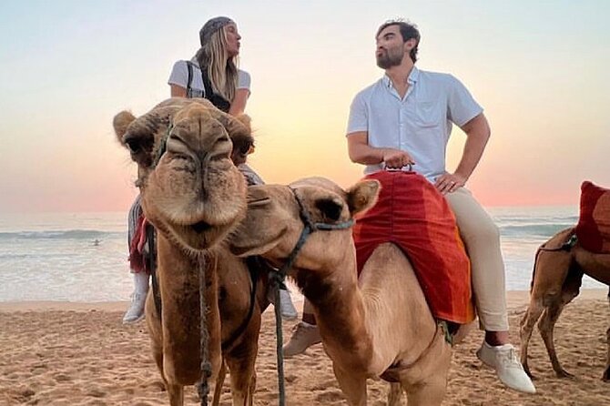 Inclusive Beach Camel Ride, Cap Spartel, Hercules & Full Dinner - Dinner and Refreshments