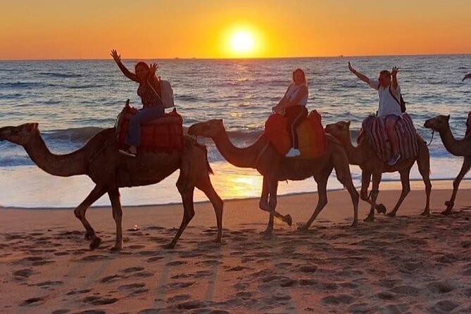 Inclusive Beach Camel Ride, Cap Spartel, Hercules & Full Dinner - Pickup and Drop-off