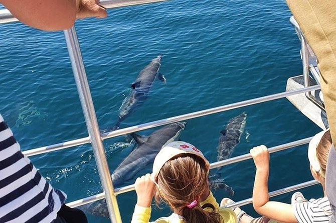 Incredible Dolphin Watching Experience on Our Family Friendly Catamaran - Lagos - Boat Specifications and Features