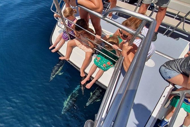 Incredible Dolphin Watching Experience on Our Family Friendly Catamaran - Lagos - Trip Duration and Logistics