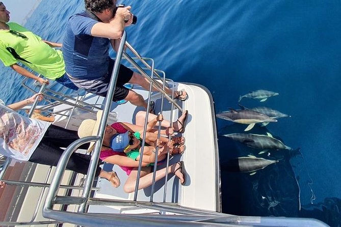 Incredible Dolphin Watching Experience on Our Family Friendly Catamaran - Lagos - Accessibility and Accommodations