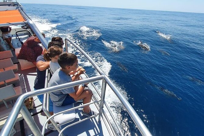 Incredible Dolphin Watching Experience on Our Family Friendly Catamaran - Lagos - Customer Reviews and Recognition