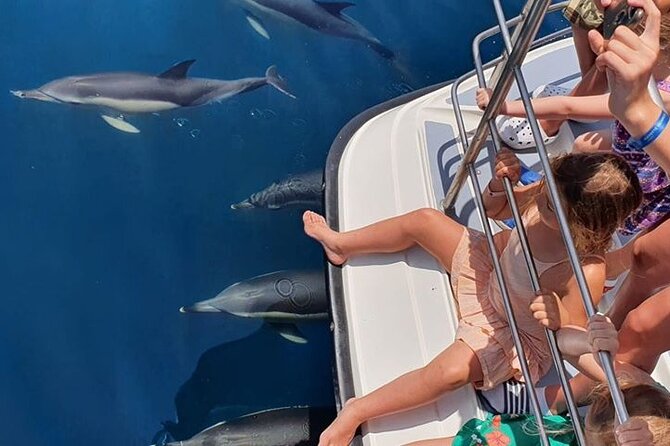 Incredible Dolphin Watching Experience on Our Family Friendly Catamaran - Lagos - Infant and Stroller Policies