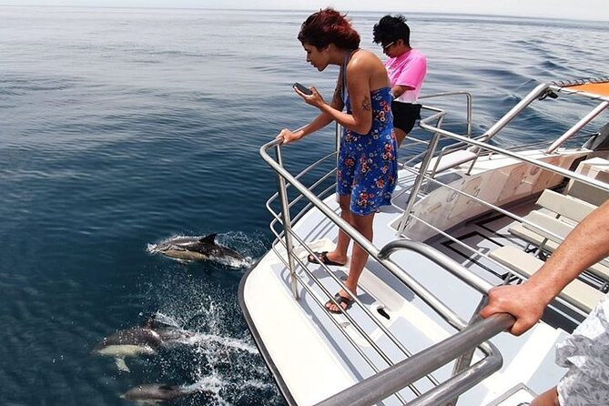 Incredible Dolphin Watching Experience on Our Family Friendly Catamaran - Lagos - Maximum Capacity and Group Size