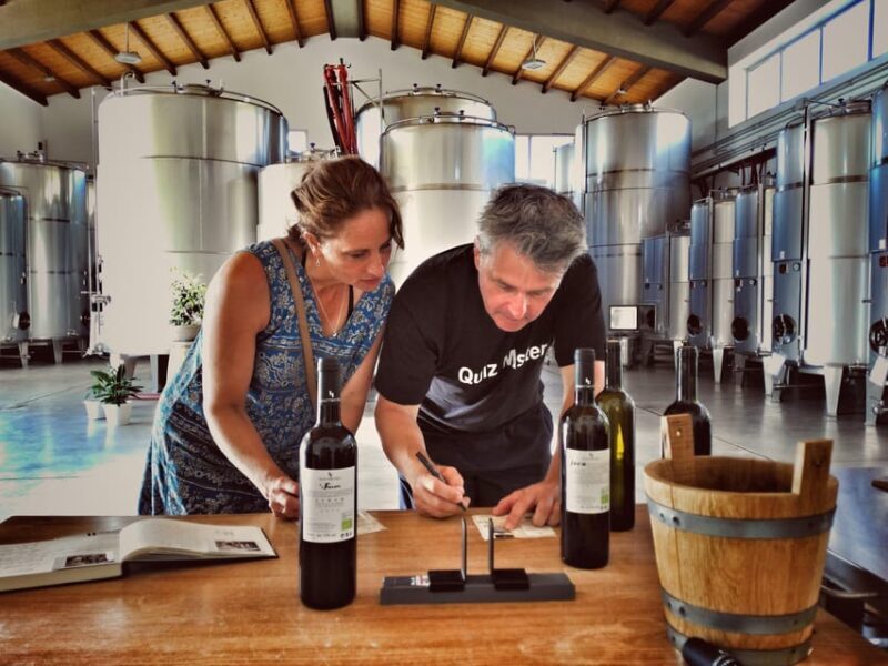 Incredible Experience in a Organic Company - Savoring Sicilian Organic Wines